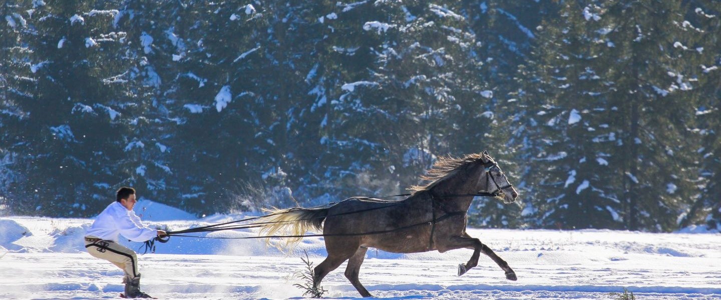 Gliding on skis